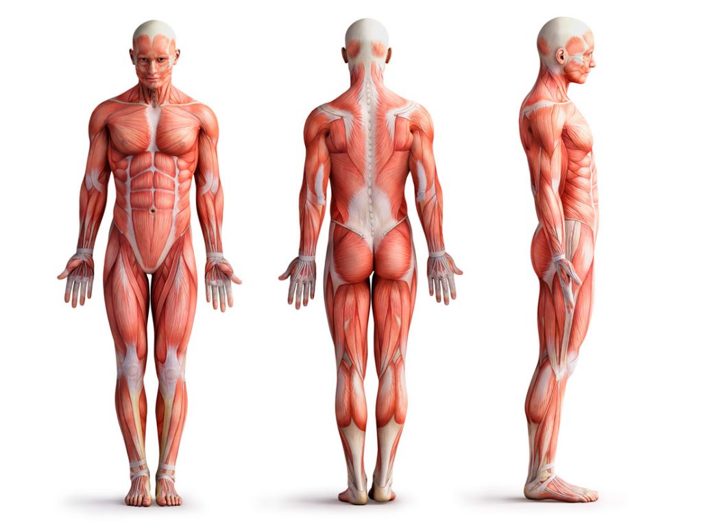 Biocanin – Kosmetik | Massage | Podologische Fußpflege