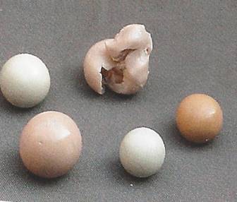 Biocanin – Kosmetik | Massage | Podologische Fußpflege